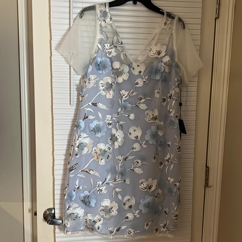 Adrianna Papell Dress Size 14